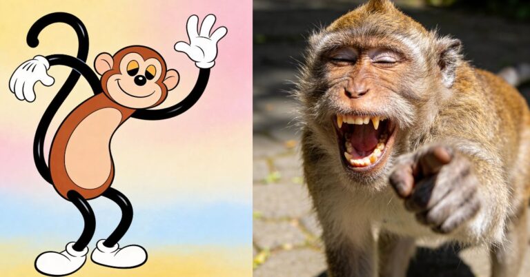 Monkey PFP: Cute, Funny & Aesthetic Profile Pictures